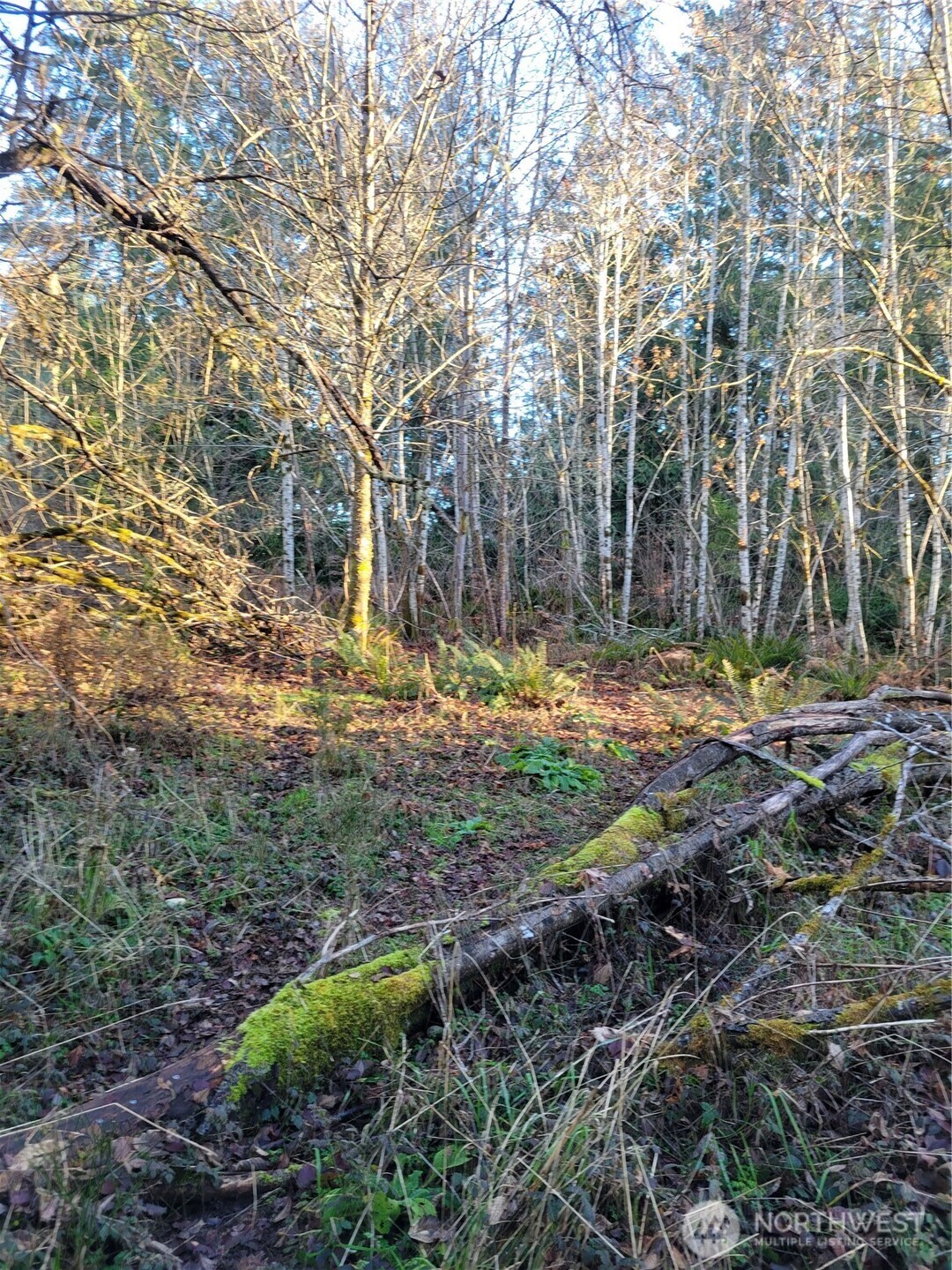 930 East Wilson Way Grapeview, WA 98546 - Photo 24 of 26