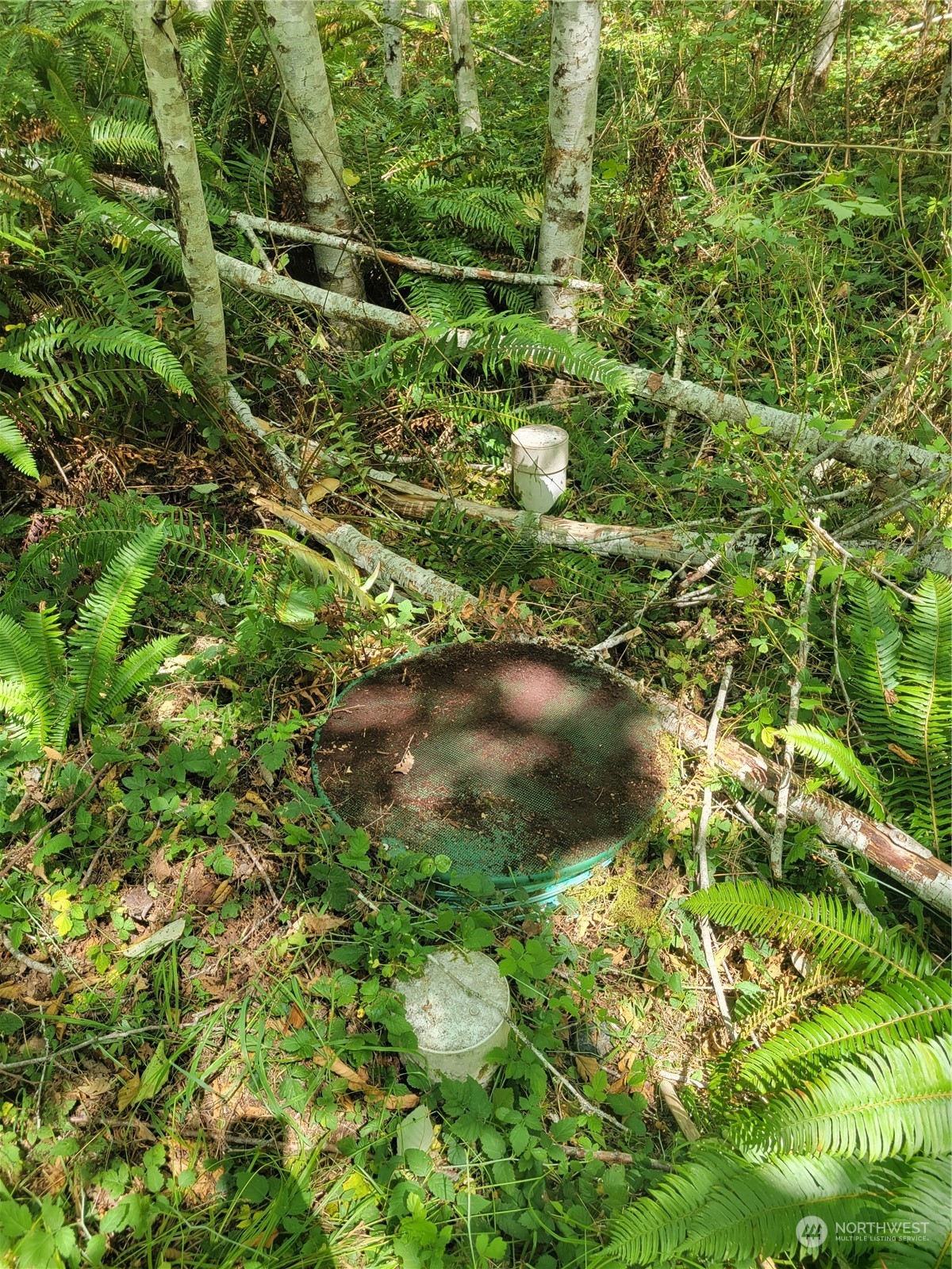 930 East Wilson Way Grapeview, WA 98546 - Photo 4 of 26