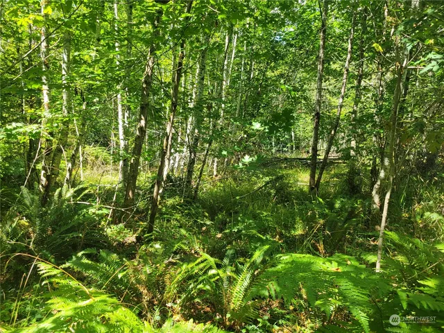 $149,900 | 930 East Wilson Way, Grapeview, WA 98546