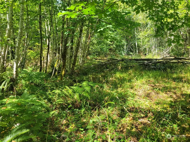 $149,900 | 930 East Wilson Way, Grapeview, WA 98546