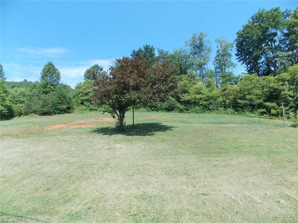 274 Turner Mountain Road Mount Airy, NC 27030 - Photo 13 of 16 Back Yard