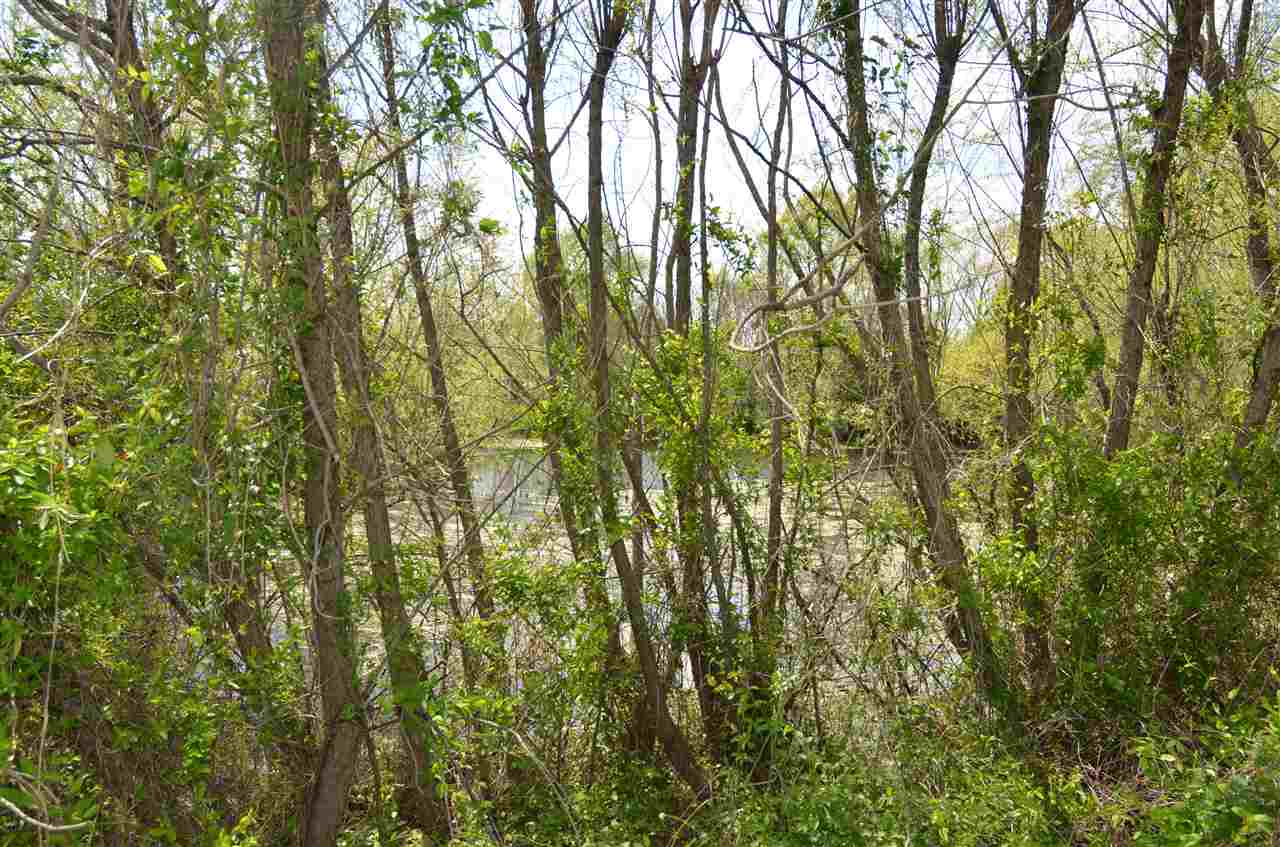 4175 Beard Road Loogootee, IN 47553 - Photo 4 of 13
