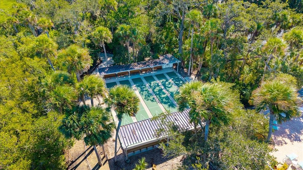 633 Starboard Avenue Edgewater, FL 32141 - Photo 47 of 57 a view of a yard with plants