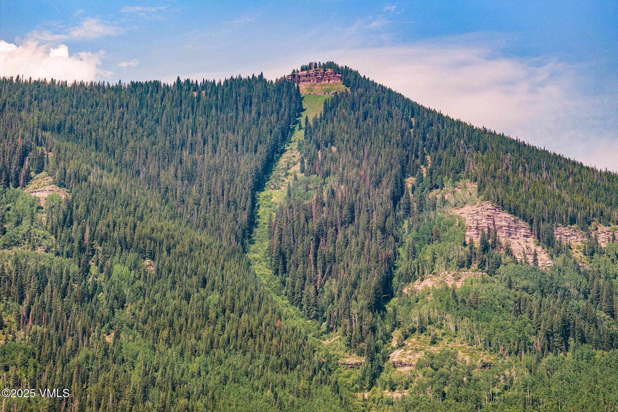 4545 Big Horn Road Vail, CO 81657 - Photo 47 of 49 a view of a and covered with lush green forest