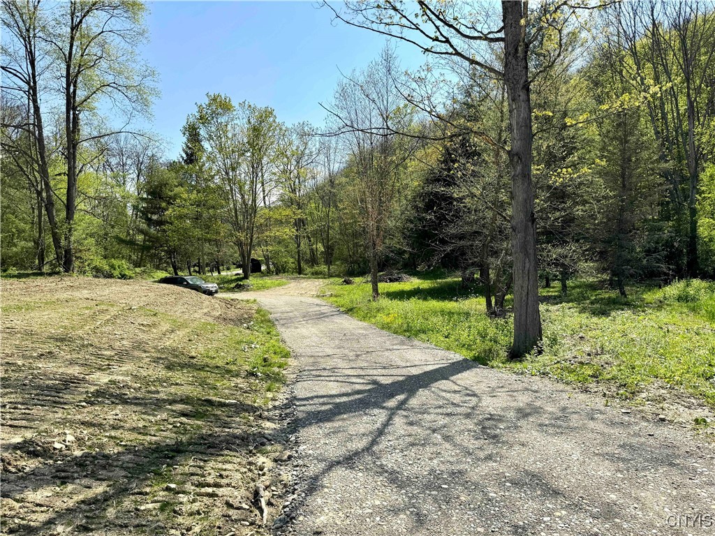 5619 County Road Cuba, NY 14727 - Photo 29 of 30