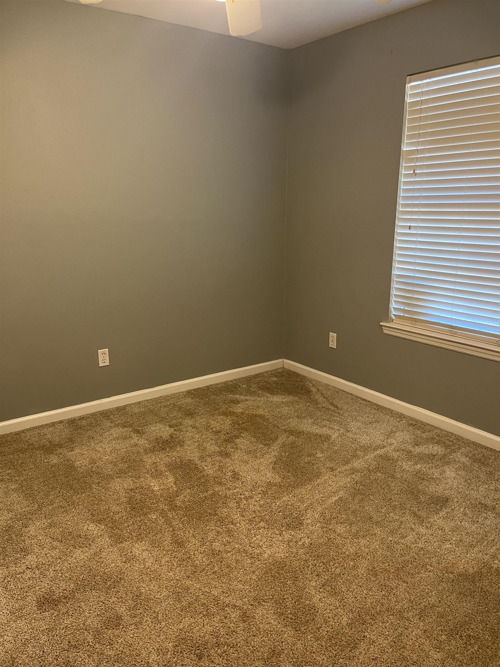 63 Mohave Road Crawfordville, FL 32327 - Photo 17 of 26