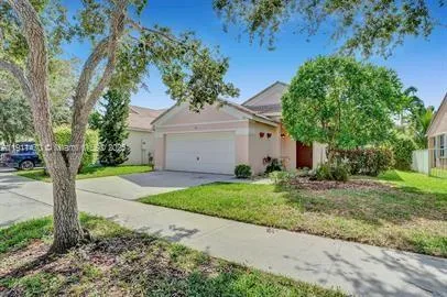a backyard of a house with plants and large trees