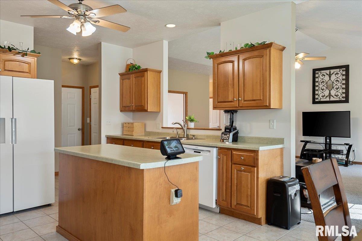 239 Maggie Drive Springfield, IL 62711 - Photo 20 of 62 Gallery Image 20