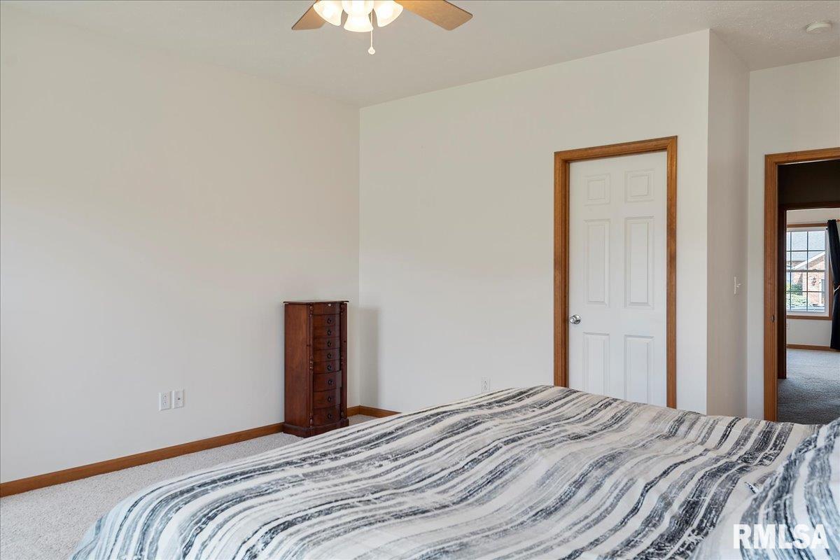 239 Maggie Drive Springfield, IL 62711 - Photo 28 of 62 Gallery Image 28