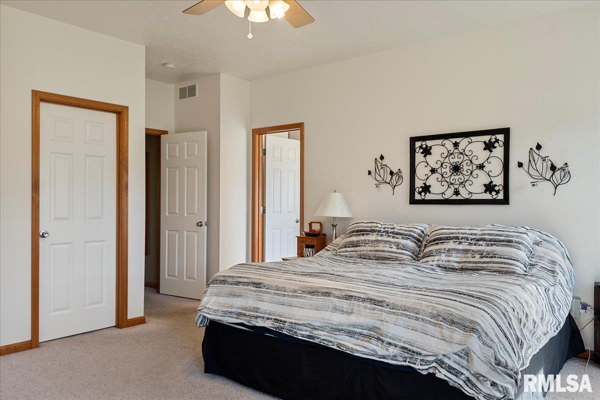 239 Maggie Drive Springfield, IL 62711 - Photo 29 of 62 Gallery Image 29