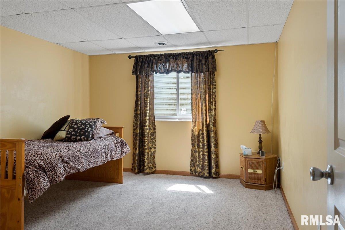 239 Maggie Drive Springfield, IL 62711 - Photo 43 of 62 Gallery Image 43