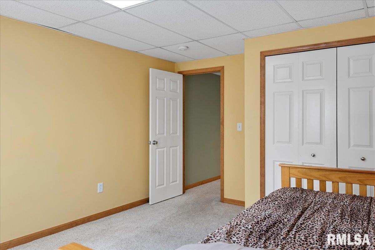 239 Maggie Drive Springfield, IL 62711 - Photo 44 of 62 Gallery Image 44