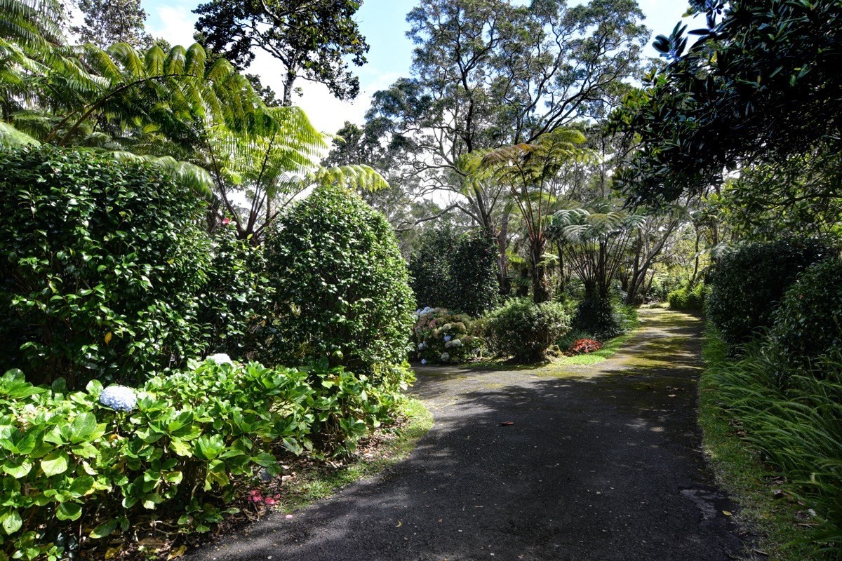 19-4053 Kilauea Road Volcano, HI 96785 - Photo 26 of 30 Gallery Image 26
