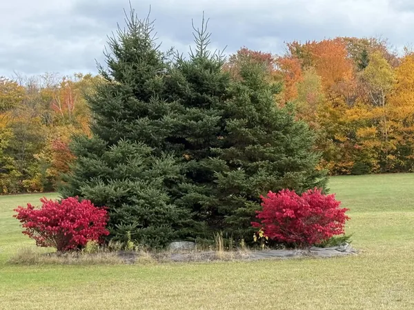 $425,000 | 222 Gagnon Road, Madawaska, ME 04756