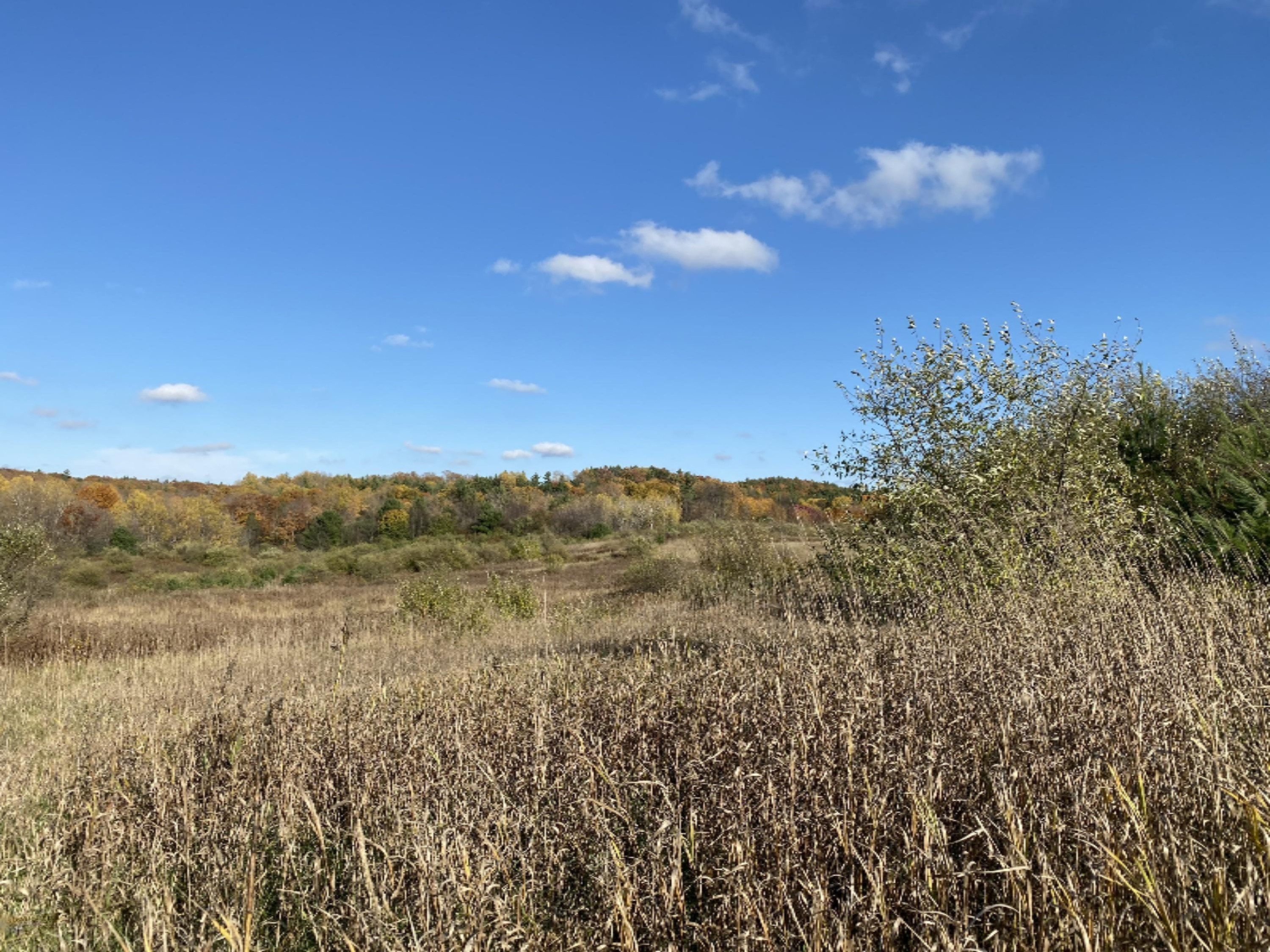 4067 Kettner Road, Unit 98 ACRES) Manistee, MI 49660 - Photo 21 of 30 Rolling vistas