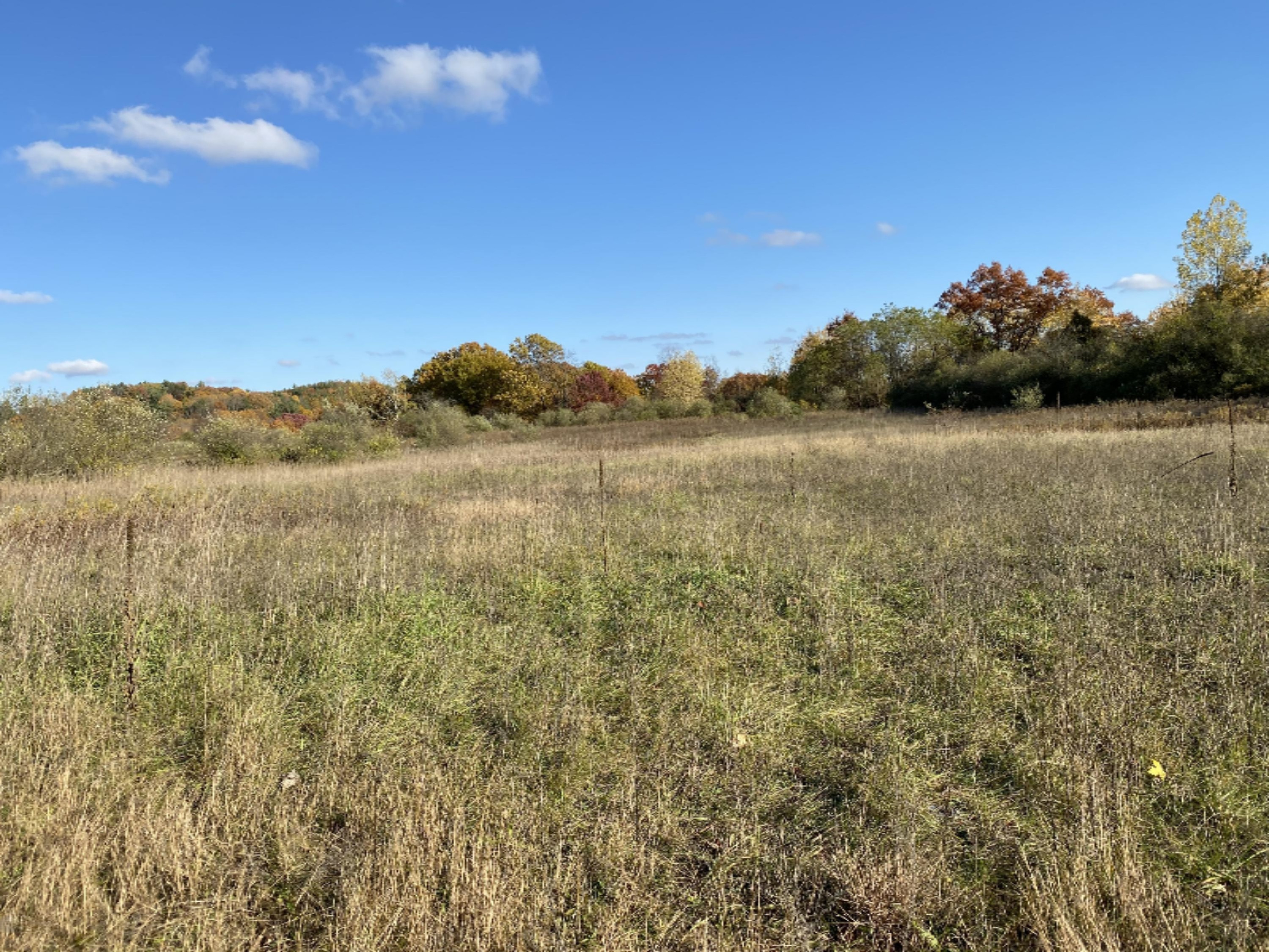 4067 Kettner Road, Unit 98 ACRES) Manistee, MI 49660 - Photo 22 of 30 Old vegetable fields