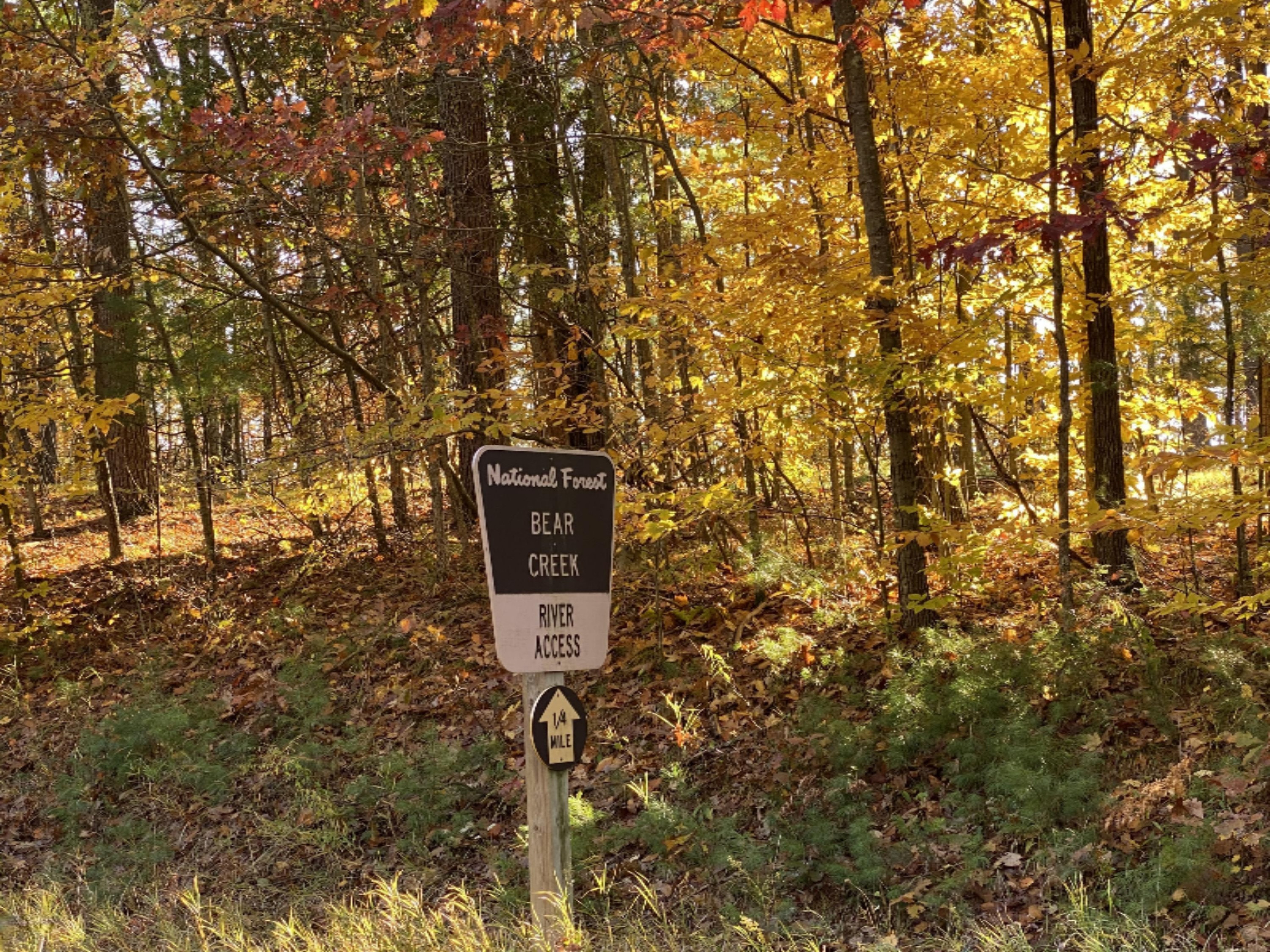 4067 Kettner Road, Unit 98 ACRES) Manistee, MI 49660 - Photo 24 of 30 Bear Creek is just up the road