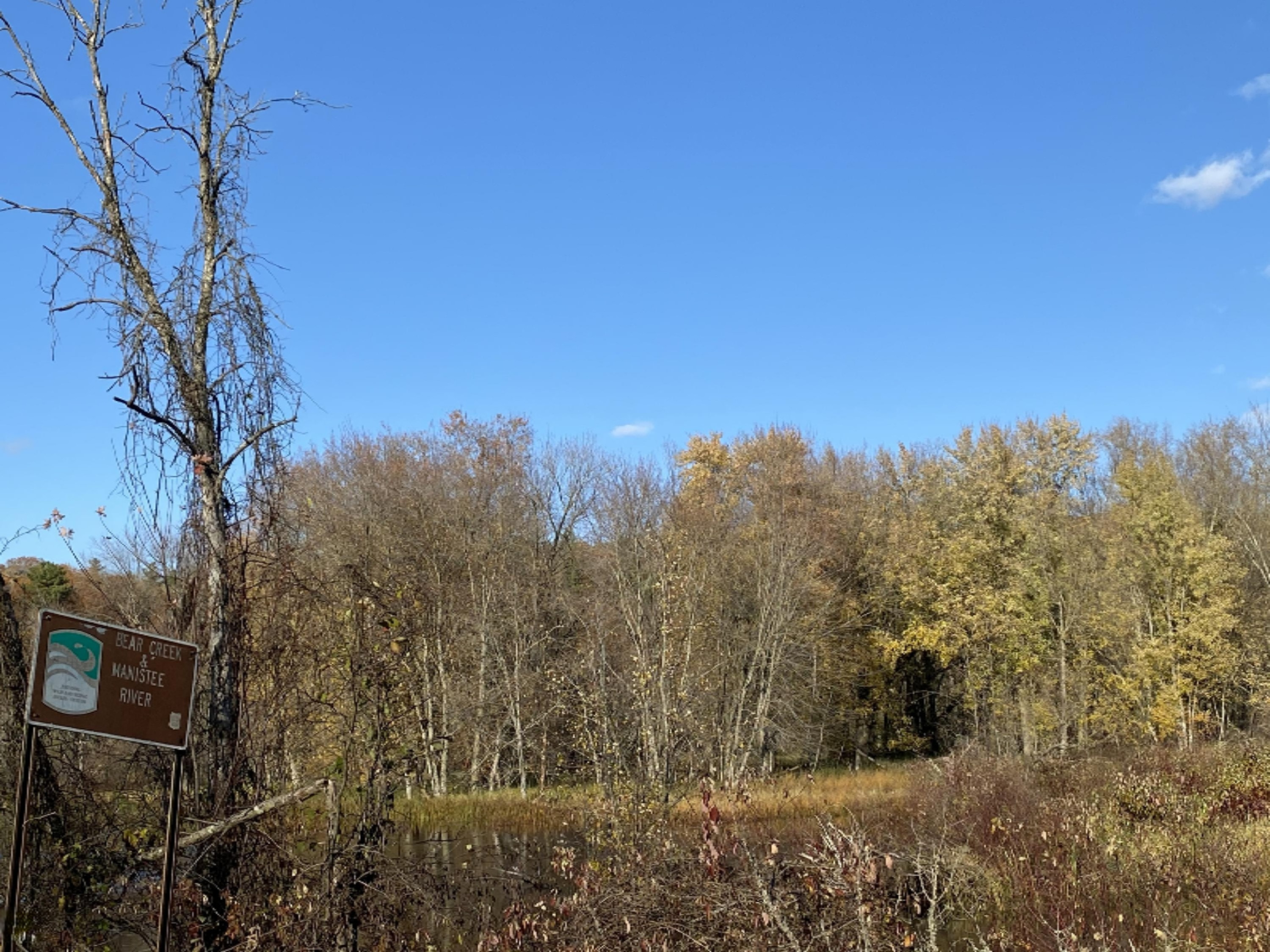 4067 Kettner Road, Unit 98 ACRES) Manistee, MI 49660 - Photo 25 of 30 Bear Creek and Manistee River