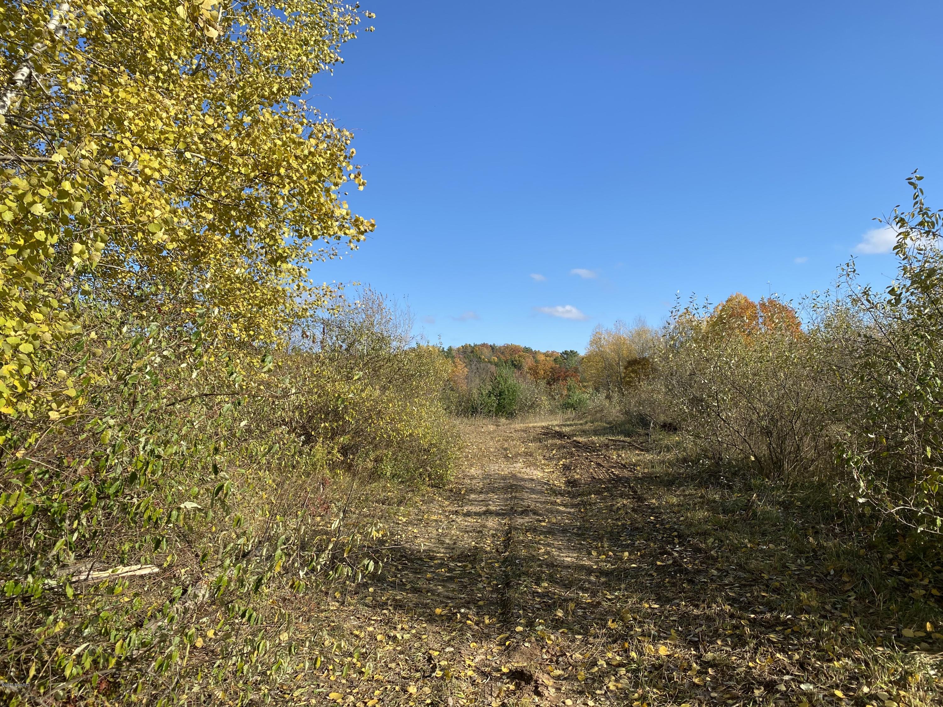 4067 Kettner Road, Unit 98 ACRES) Manistee, MI 49660 - Photo 3 of 30 Mowed Driving Paths