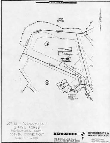 a view of a lush green yard with large trees and plants
