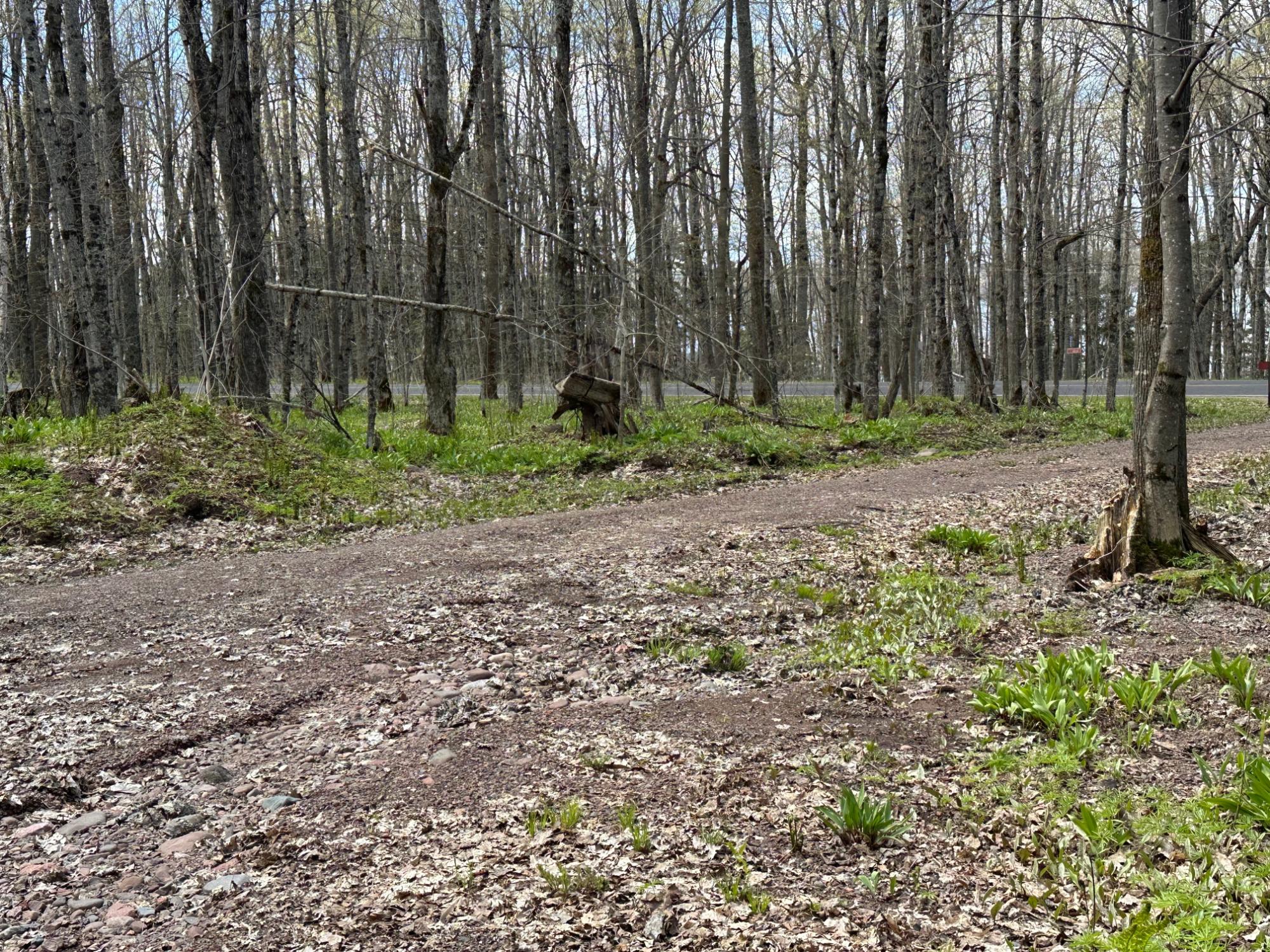 Lot 3 Shore Road Ewen, MI 49925 - Photo 8 of 11 Gallery Image 8
