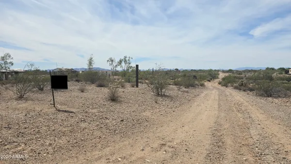 a view of a dry yard with trees