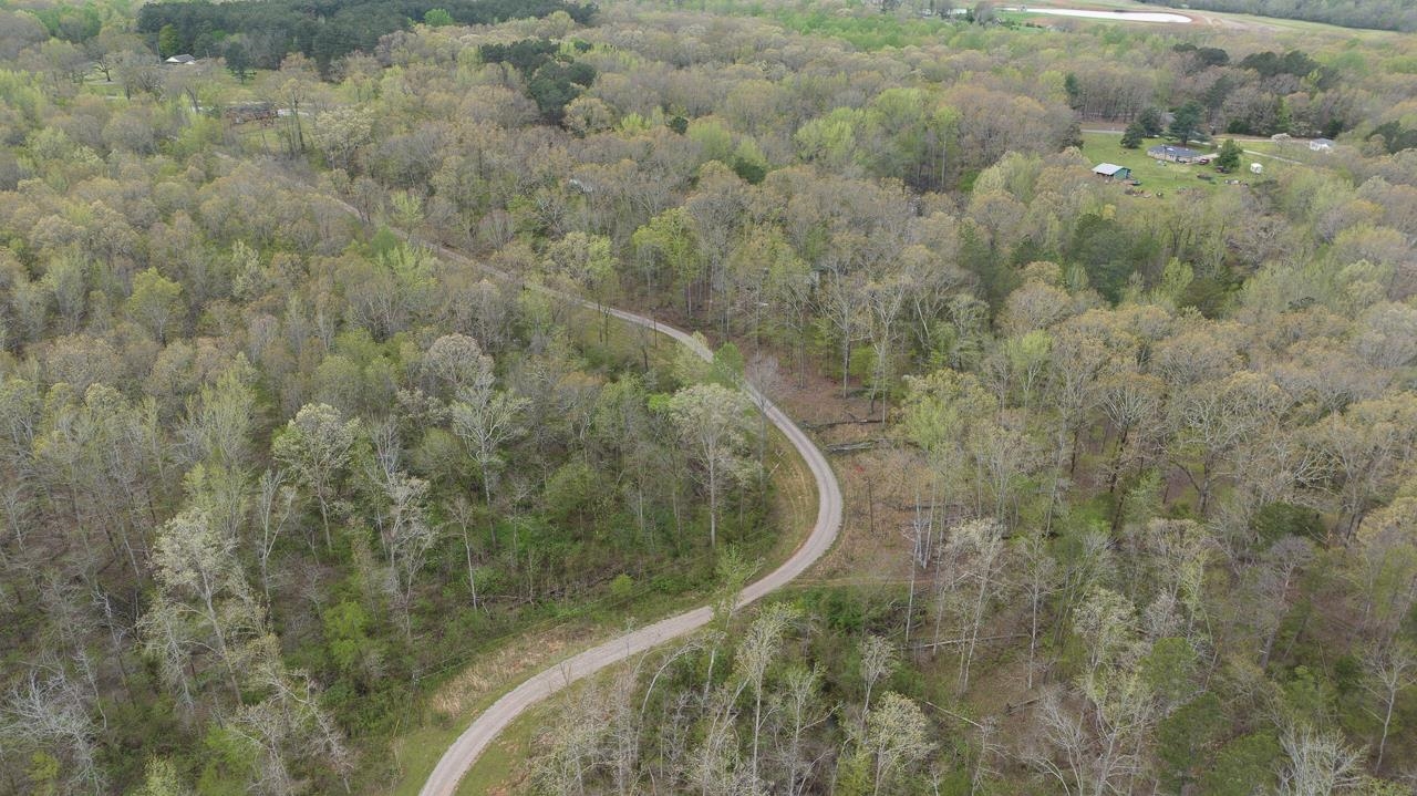 6175 Lagrange Road Somerville, TN 38068 - Photo 9 of 25 Gallery Image 9