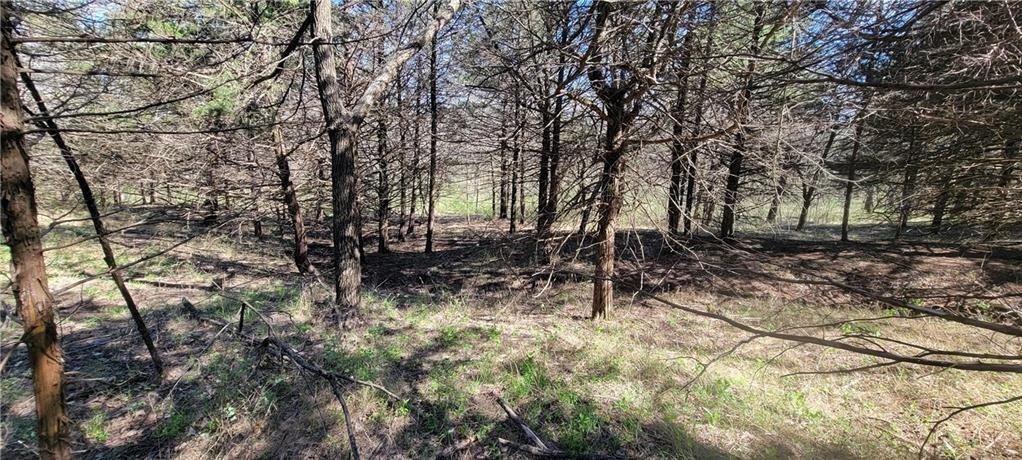 3528 West Virginia Road Kincaid, KS 66039 - Photo 17 of 61