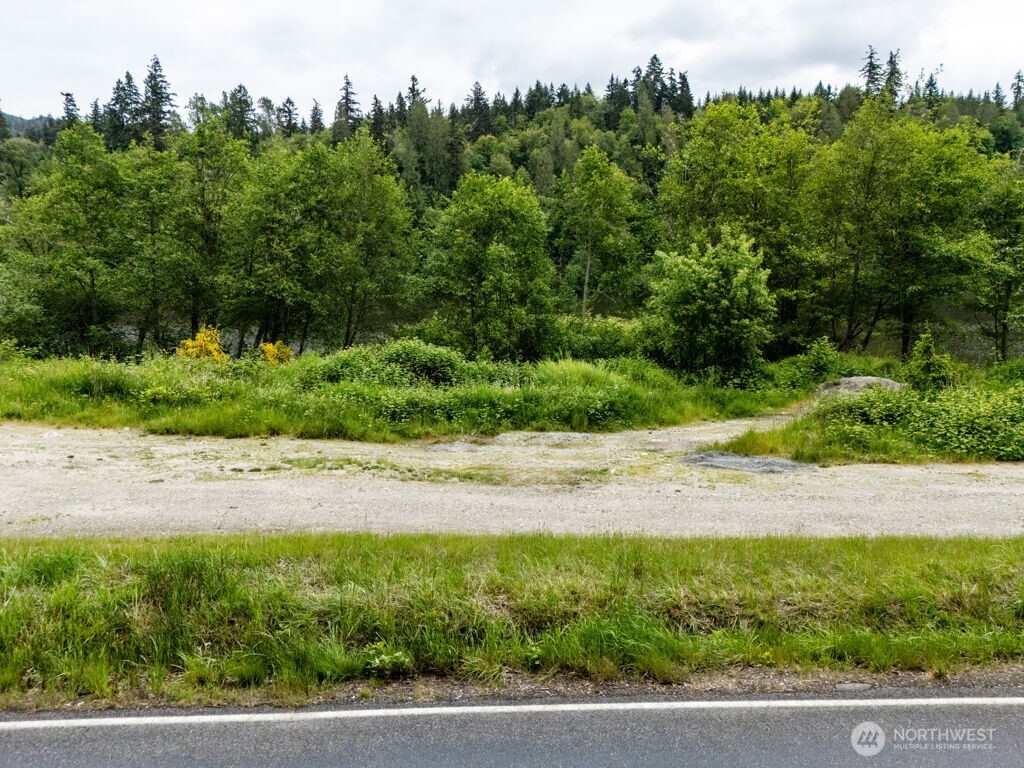 3-4 Orville Road East Eatonville, WA 98328 - Photo 14 of 32