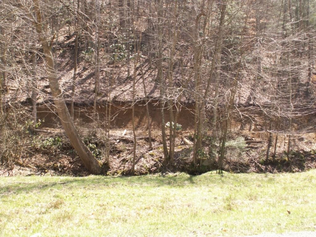 8.55 Hubert Taylor Road Mountain City, TN 37683 - Photo 3 of 4 STREAM RUNNING THRU