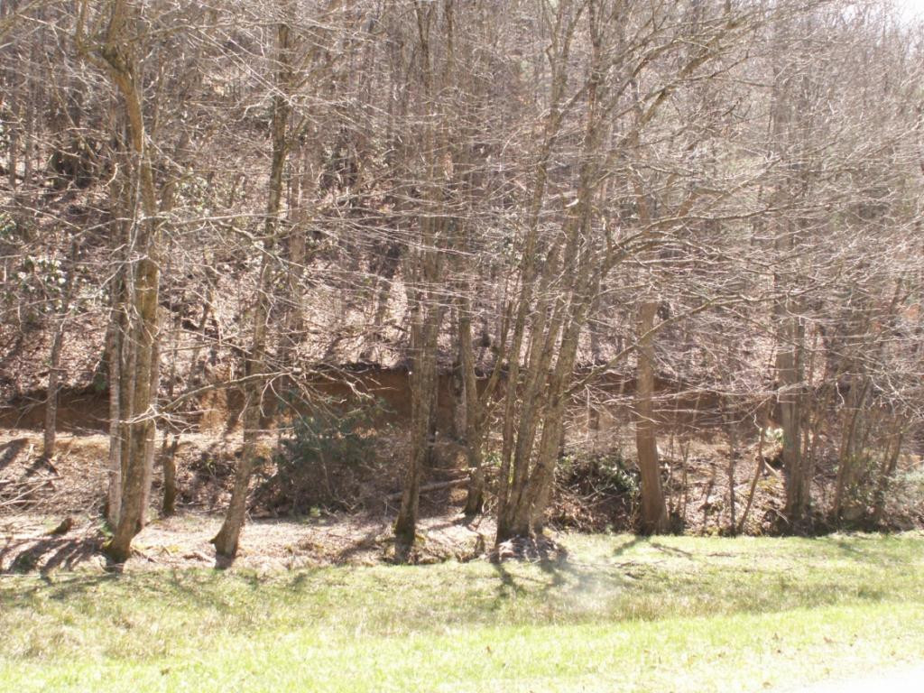 8.55 Hubert Taylor Road Mountain City, TN 37683 - Photo 4 of 4 NICE BUILDING SITES