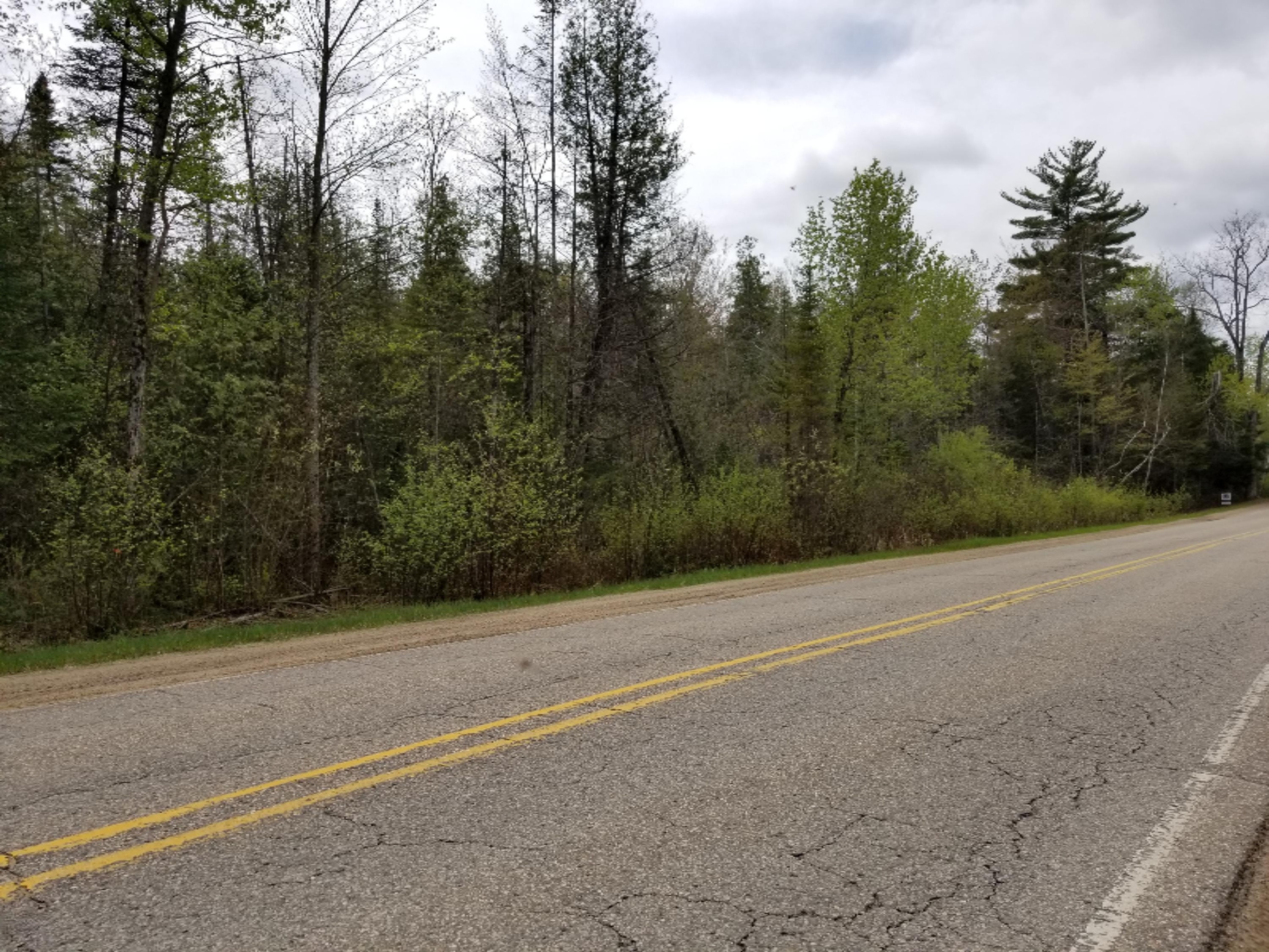 V/l Muskegon Road Harrison, MI 48625 - Photo 8 of 17 20180520_141317