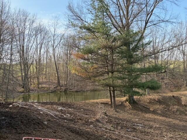 540 Flag Dale Road South Junction City, OH 43748 - Photo 32 of 48 3a507aed-98d9-46c4-b074-ce574573d8e3