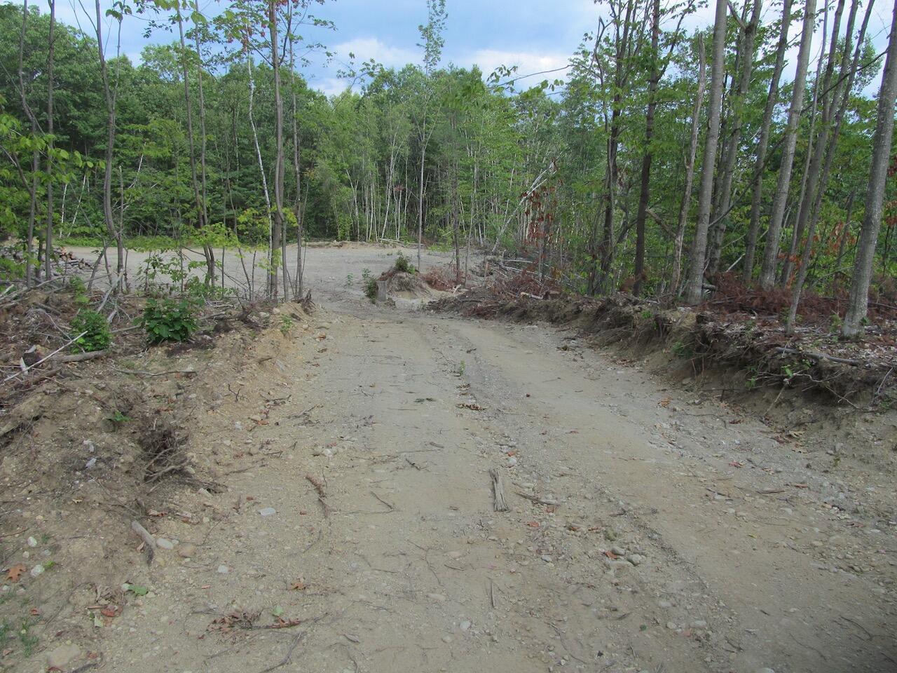 6.79 A End Mcallister Road Buckfield, ME 04220 - Photo 12 of 16 IMG_0861