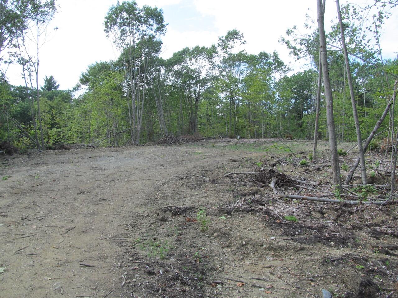 6.79 A End Mcallister Road Buckfield, ME 04220 - Photo 13 of 16 IMG_0862