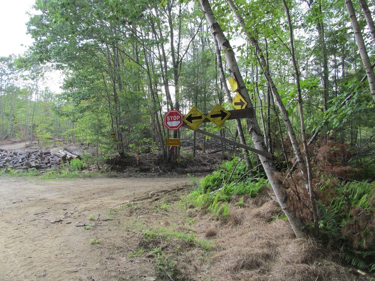 6.79 A End Mcallister Road Buckfield, ME 04220 - Photo 14 of 16 IMG_0865