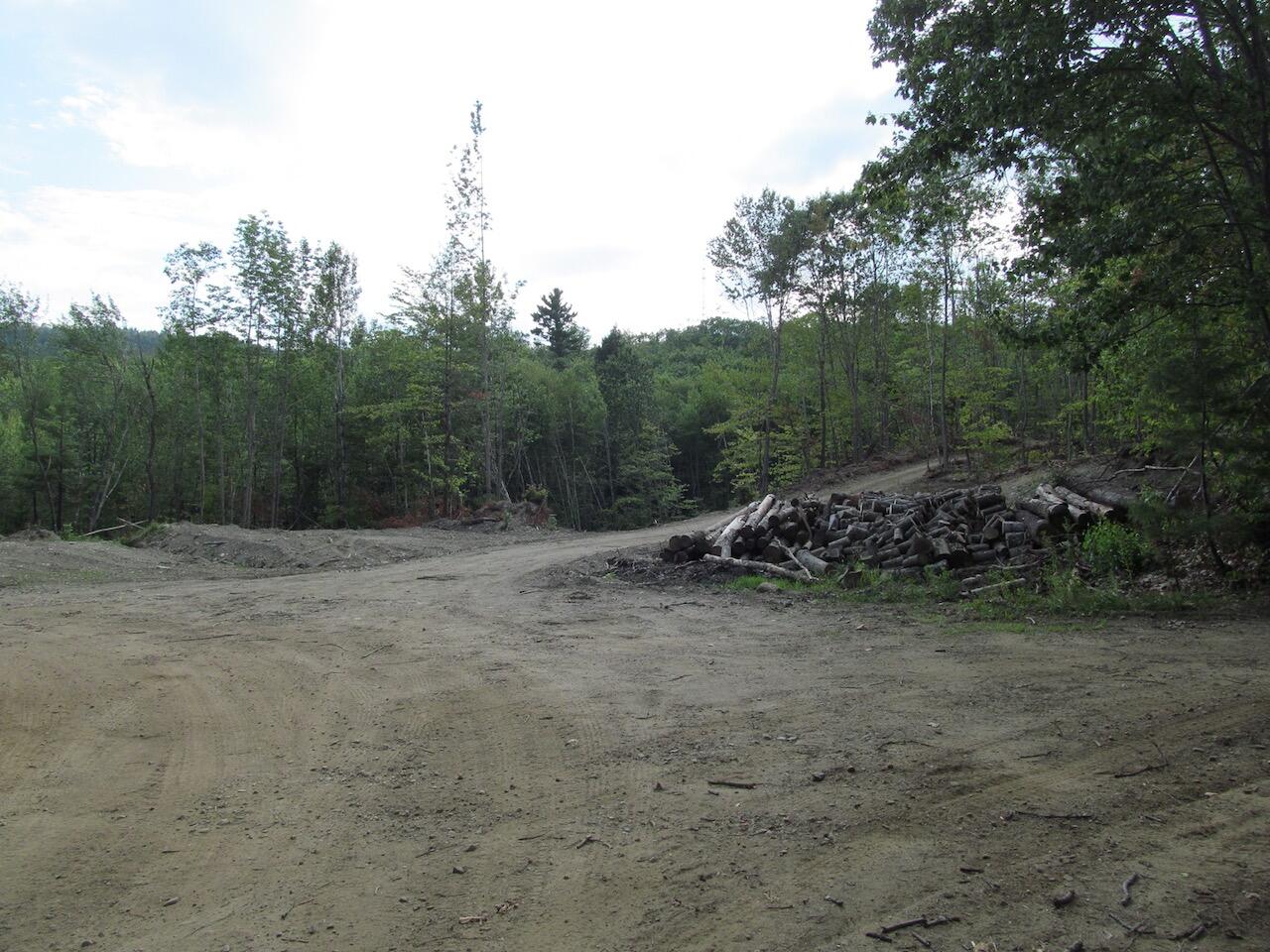 6.79 A End Mcallister Road Buckfield, ME 04220 - Photo 15 of 16 IMG_0864