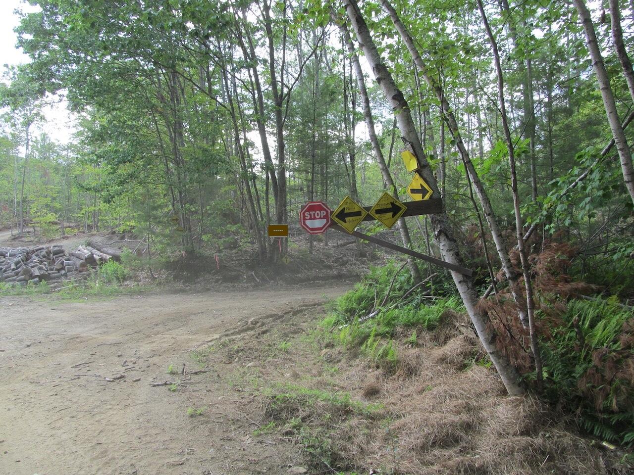 6.79 A End Mcallister Road Buckfield, ME 04220 - Photo 16 of 16 IMG_0863