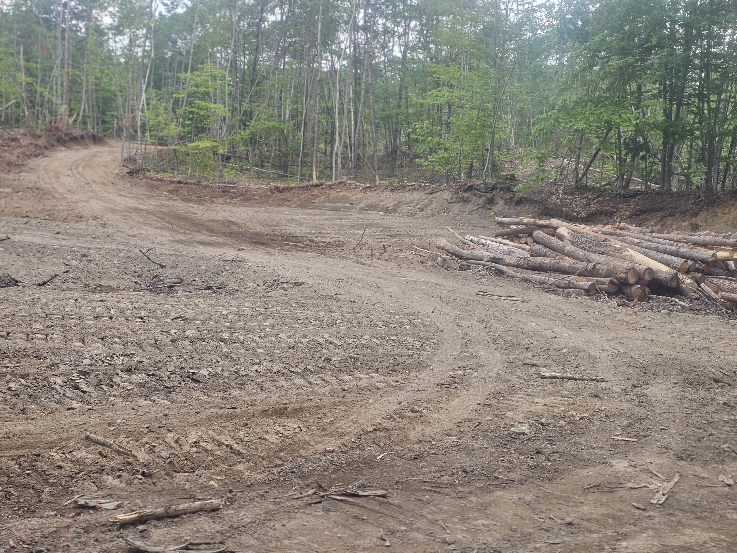 6.79 A End Mcallister Road Buckfield, ME 04220 - Photo 2 of 16 20250625_083420