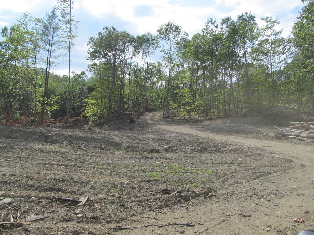 6.79 A End Mcallister Road Buckfield, ME 04220 - Photo 8 of 16 IMG_0857