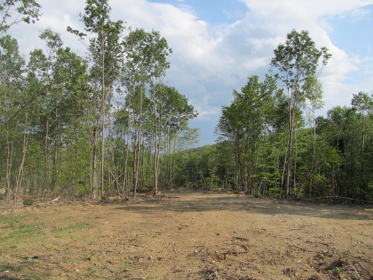 6.79 A End Mcallister Road Buckfield, ME 04220 - Photo 9 of 16 IMG_0858