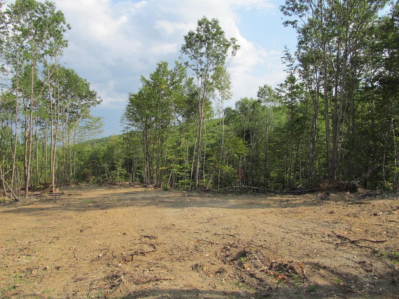 6.79 A End Mcallister Road Buckfield, ME 04220 - Photo 10 of 16 IMG_0859