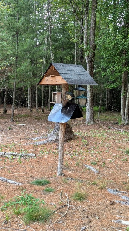 12-2-11 Wood Road Jefferson, NY 12093 - Photo 14 of 42 Feeding station for Mother Natures feathered frien