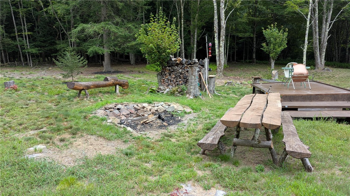 12-2-11 Wood Road Jefferson, NY 12093 - Photo 16 of 42 Party place includes fire pit, bench, interesting