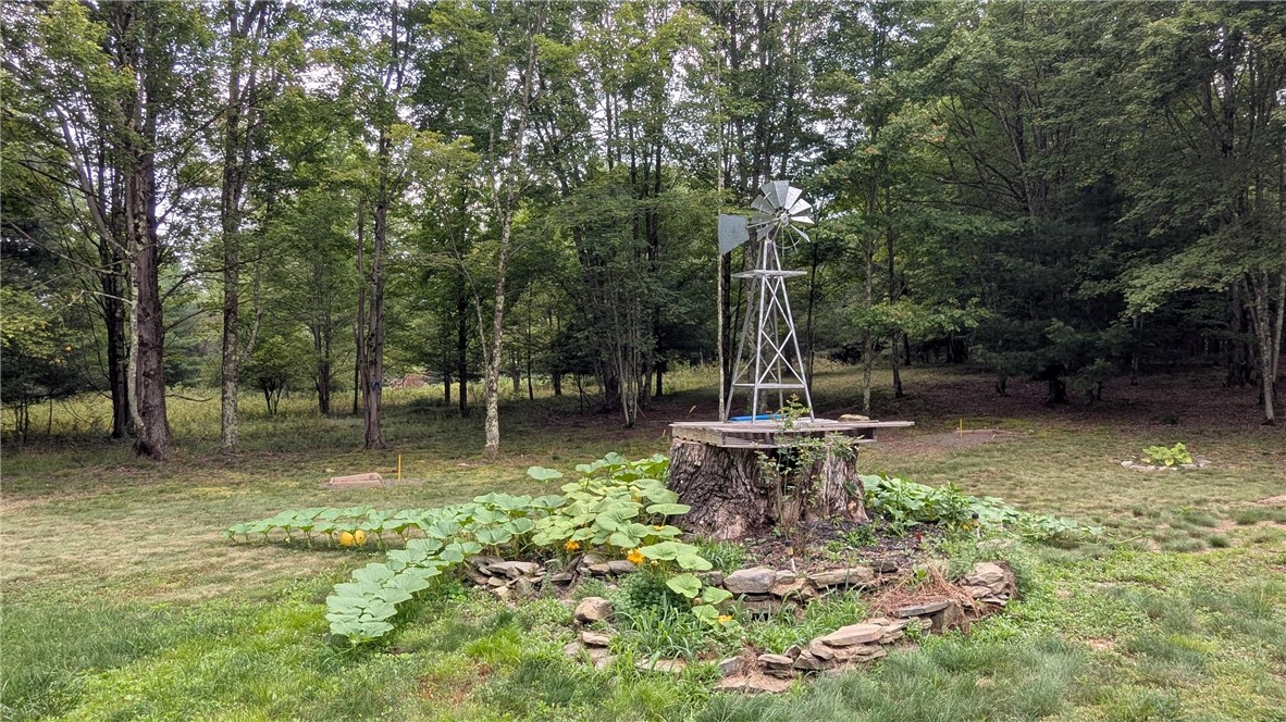 12-2-11 Wood Road Jefferson, NY 12093 - Photo 17 of 42 Pumpkin plants adorns Stump platform complete with