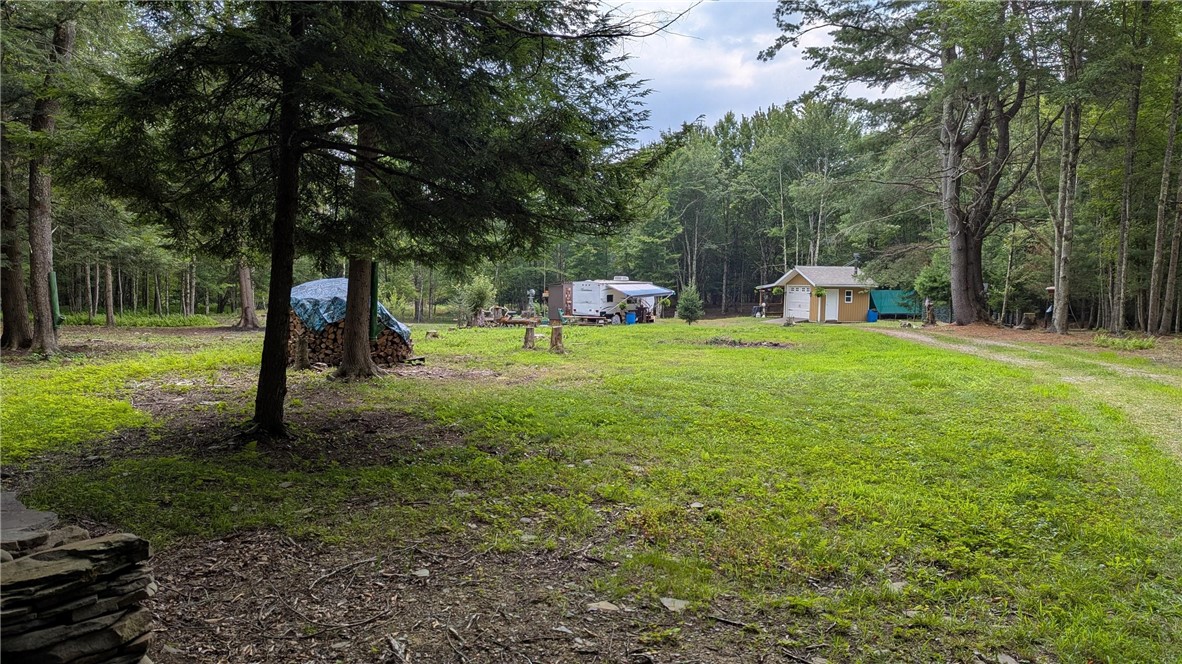 12-2-11 Wood Road Jefferson, NY 12093 - Photo 2 of 42 View of one of the cleared developed area that has