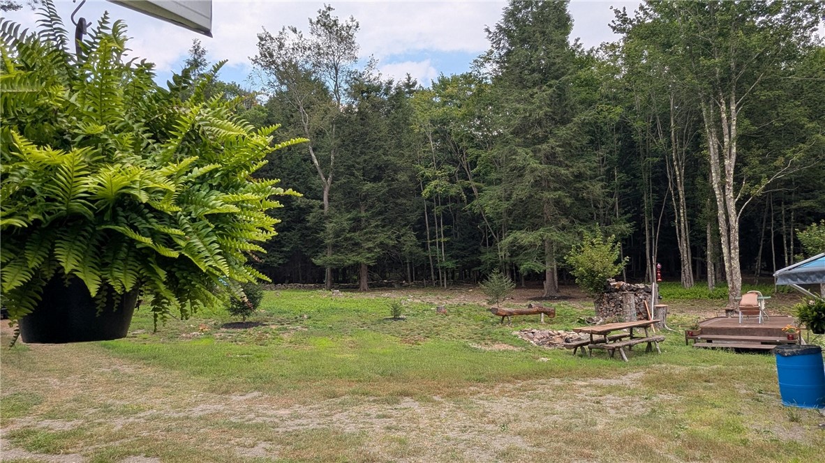 12-2-11 Wood Road Jefferson, NY 12093 - Photo 22 of 42 View shows side wooded area of lot