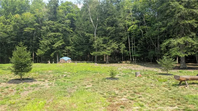 $42,500 | 12-2-11 Wood Road, Jefferson, NY 12093
