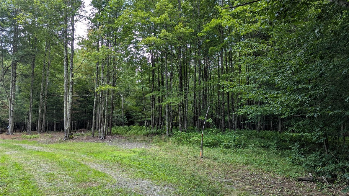 12-2-11 Wood Road Jefferson, NY 12093 - Photo 27 of 42