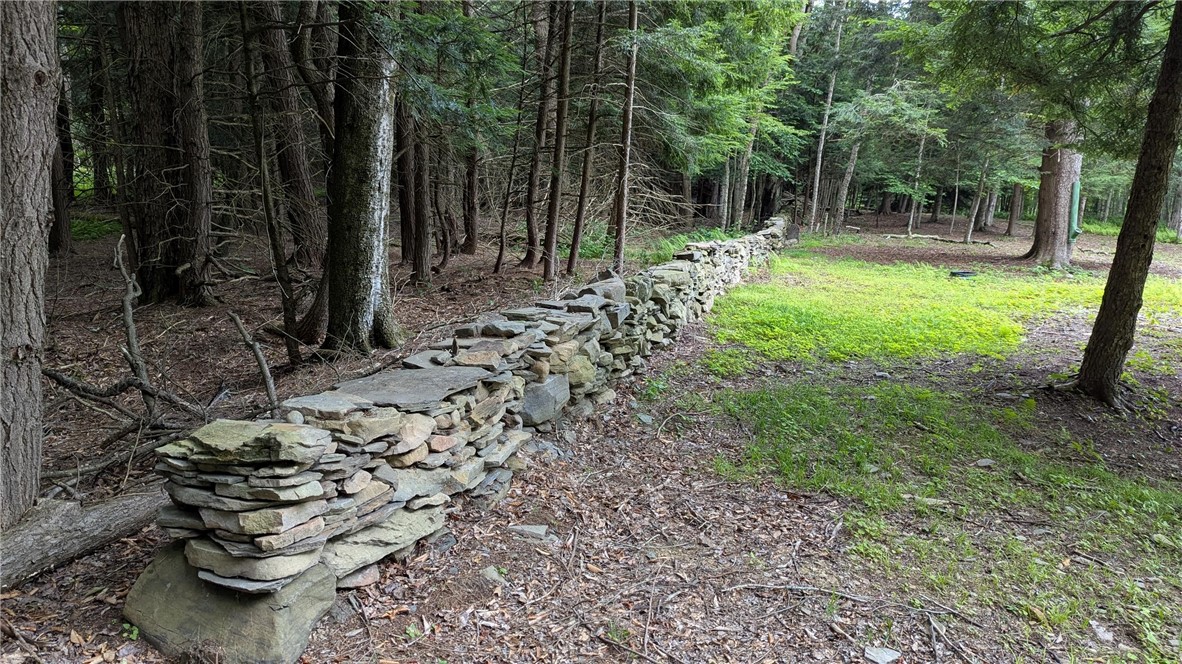 12-2-11 Wood Road Jefferson, NY 12093 - Photo 3 of 42 Stone walls add to the country charm of this parce